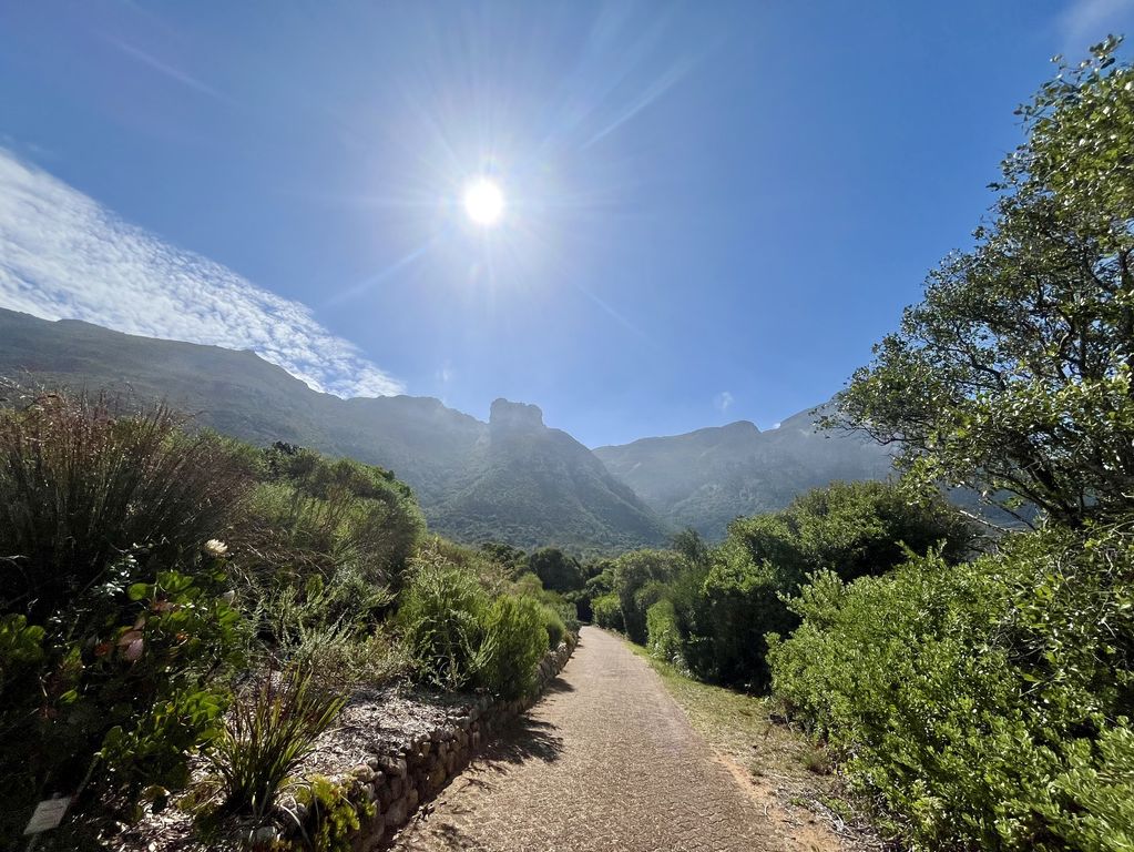 Kirstenbosch Kaapstad Zuid Afrika groepsrondreis 2